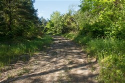 property photo for Riverbend Tract 30, 3.29 acres for sale in Wayne County, Kentucky
