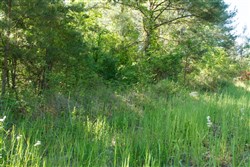 property photo for Riverbend Tract 30, 3.29 acres for sale in Wayne County, Kentucky