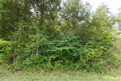 property photo for Rolling Hills Tract 1, 3.8 acres for sale in Wayne County, Kentucky