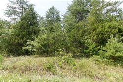 property photo for Rolling Hills Tract 1, 3.8 acres for sale in Wayne County, Kentucky