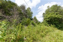 property photo for Rolling Hills Tract 1, 3.8 acres for sale in Wayne County, Kentucky