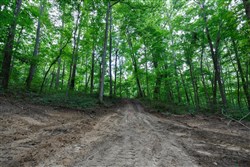 property photo for Rolling Hills Tract 11, 6.19 acres for sale in Wayne County, Kentucky