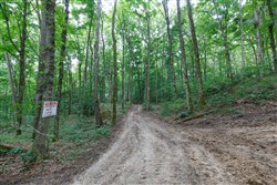 property photo for Rolling Hills Tract 11, 6.19 acres for sale in Wayne County, Kentucky