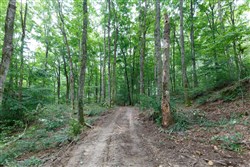 property photo for Rolling Hills Tract 12, 5.12 acres for sale in Wayne County, Kentucky