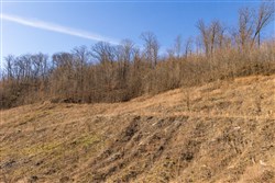 property photo for Jade Pass Tract 10, 5.95 acres for sale in Whitley County, Kentucky
