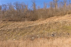 property photo for Jade Pass Tract 10, 5.95 acres for sale in Whitley County, Kentucky
