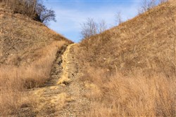 property photo for Jade Pass Tract 11, 6.26 acres for sale in Whitley County, Kentucky