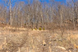 property photo for Jade Pass Tract 11, 6.26 acres for sale in Whitley County, Kentucky