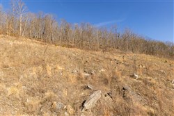property photo for Jade Pass Tract 11, 6.26 acres for sale in Whitley County, Kentucky