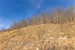 property photo for Jade Pass Tract 12, 6.1 acres for sale in Whitley County, Kentucky