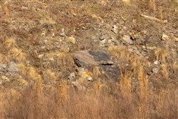property photo for Jade Pass Tract 12, 6.1 acres for sale in Whitley County, Kentucky