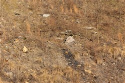 property photo for Jade Pass Tract 12, 6.1 acres for sale in Whitley County, Kentucky