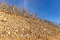 property photo for Jade Pass Tract 13, 6.46 acres for sale in Whitley County, Kentucky