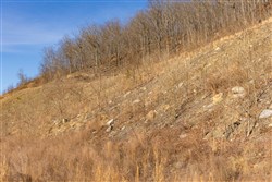 property photo for Jade Pass Tract 13, 6.46 acres for sale in Whitley County, Kentucky