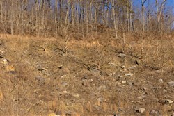 property photo for Jade Pass Tract 14, 6.16 acres for sale in Whitley County, Kentucky