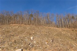 property photo for Jade Pass Tract 14, 6.16 acres for sale in Whitley County, Kentucky