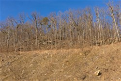 property photo for Jade Pass Tract 14, 6.16 acres for sale in Whitley County, Kentucky
