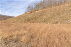 property photo for Jade Pass Tract 16, 5.05 acres for sale in Whitley County, Kentucky