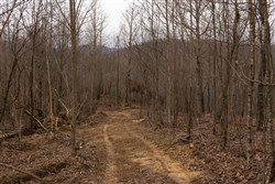 property photo for Jade Pass Tract 20, 18.8 acres for sale in Whitley County, Kentucky
