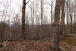 property photo for Jade Pass Tract 21, 23.09 acres for sale in Whitley County, Kentucky