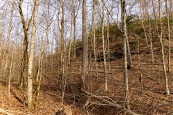 property photo for Jade Pass Tract 27, 9.21 acres for sale in Whitley County, Kentucky