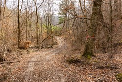 property photo for Jade Pass Tract 27, 9.21 acres for sale in Whitley County, Kentucky
