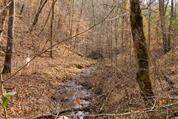 property photo for Jade Pass Tract 27, 9.21 acres for sale in Whitley County, Kentucky
