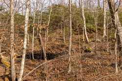 property photo for Jade Pass Tract 27, 9.21 acres for sale in Whitley County, Kentucky