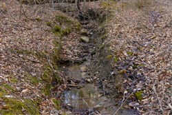 property photo for Jade Pass Tract 36, 14.3 acres for sale in Whitley County, Kentucky