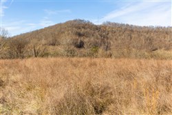 property photo for Jade Pass Tract 36, 14.3 acres for sale in Whitley County, Kentucky