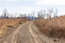 property photo for Jade Pass Tract 4, 5.05 acres for sale in Whitley County, Kentucky