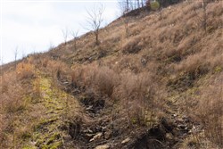 property photo for Jade Pass Tract 4, 5.05 acres for sale in Whitley County, Kentucky