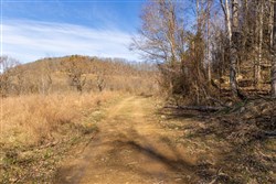 property photo for Jade Pass Tract 42, 6.33 acres for sale in Whitley County, Kentucky