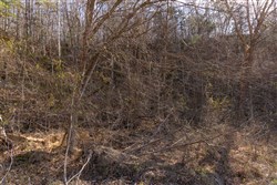property photo for Jade Pass Tract 42, 6.33 acres for sale in Whitley County, Kentucky
