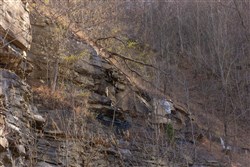property photo for Jade Pass Tract 43, 6.3 acres for sale in Whitley County, Kentucky