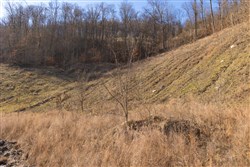 property photo for Jade Pass Tract 8, 7 acres for sale in Whitley County, Kentucky