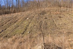 property photo for Jade Pass Tract 8, 7 acres for sale in Whitley County, Kentucky