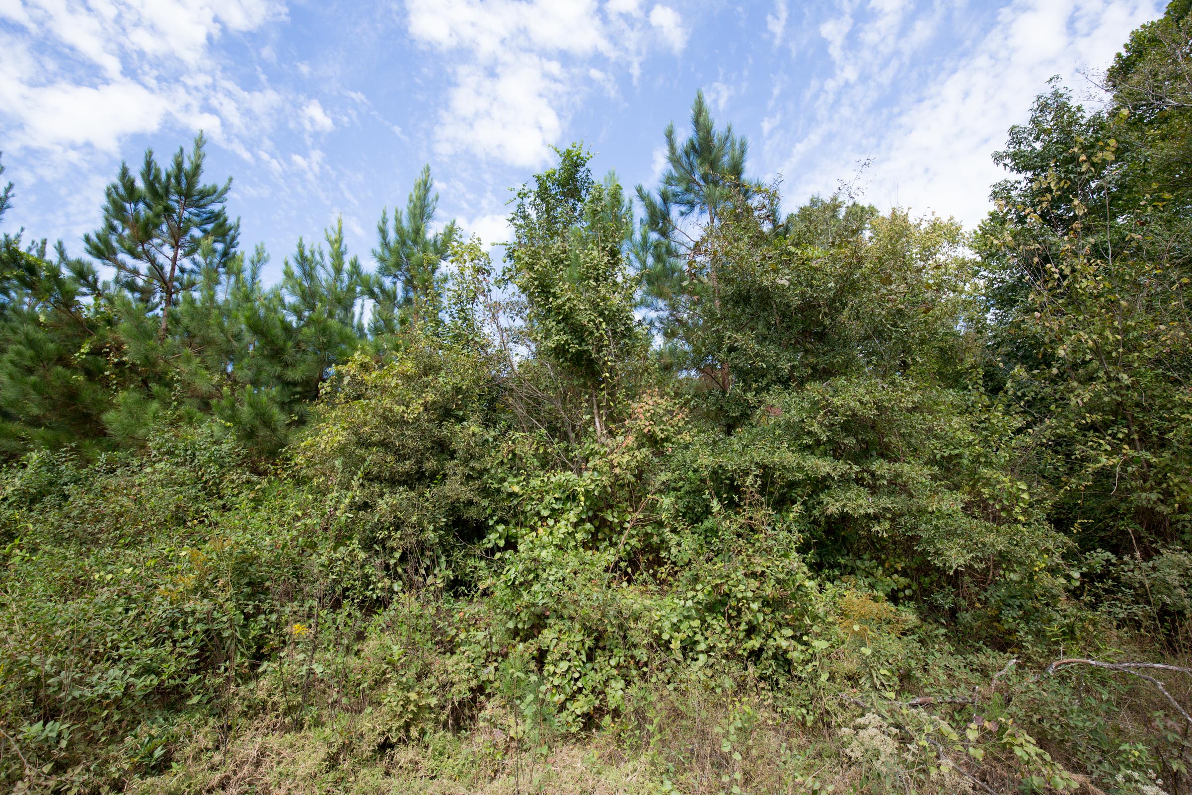 Tract 1 at Brentwood in Attala County, Mississippi