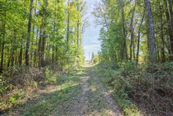 property photo for Brentwood Tract 11, 4.22 acres for sale in Attala County, Mississippi