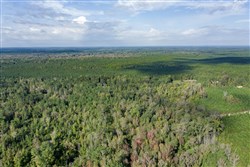 property photo for Brentwood Tract 11, 4.22 acres for sale in Attala County, Mississippi