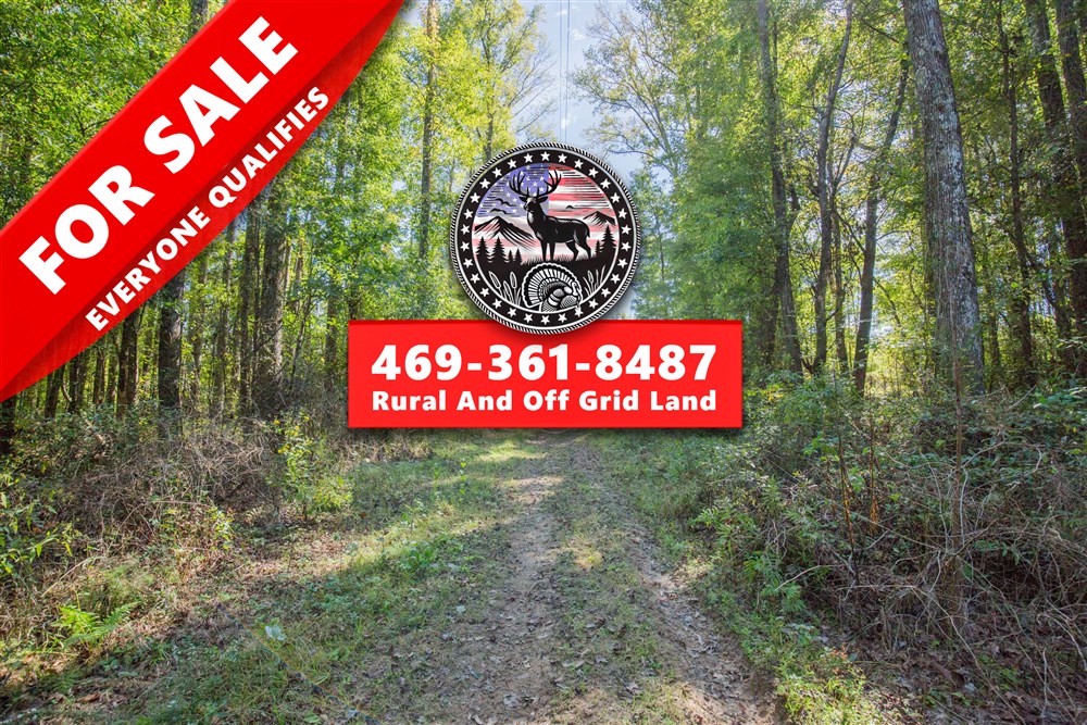 4.22 acre rural land tract for sale at Brentwood Tract 11 in Attala County, Mississippi