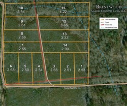 tract layout map for Brentwood Tract 11, 4.22 acres for sale in Attala County, Mississippi
