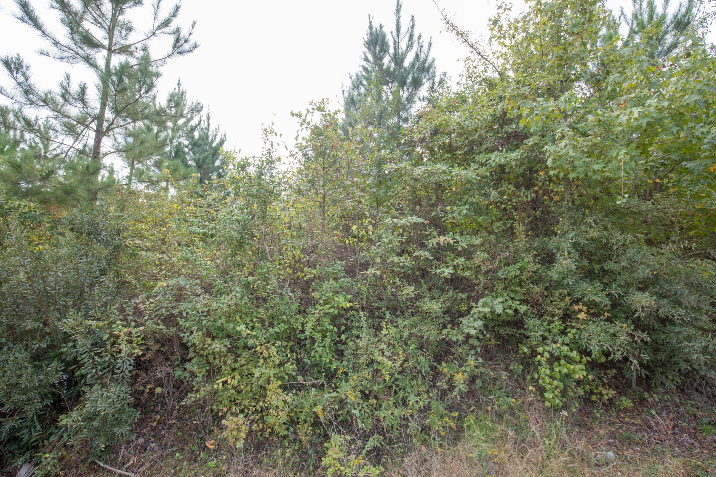 Tract 5 at Brentwood in Attala County, Mississippi