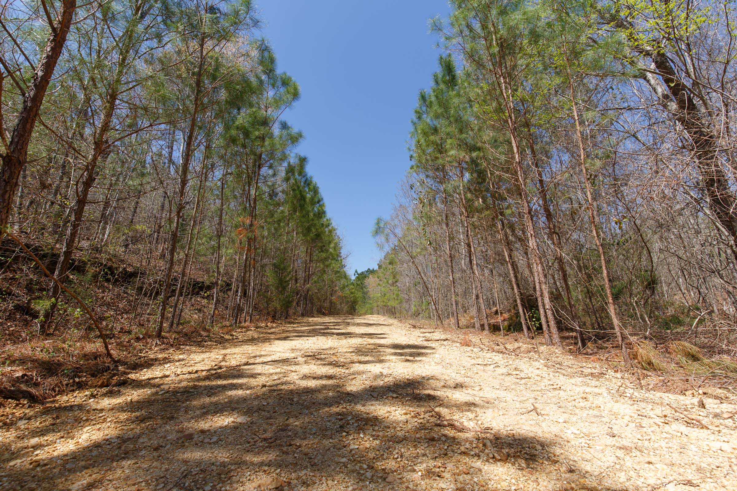 Tract 16 at Southern Hills in Tishomingo County, Mississippi