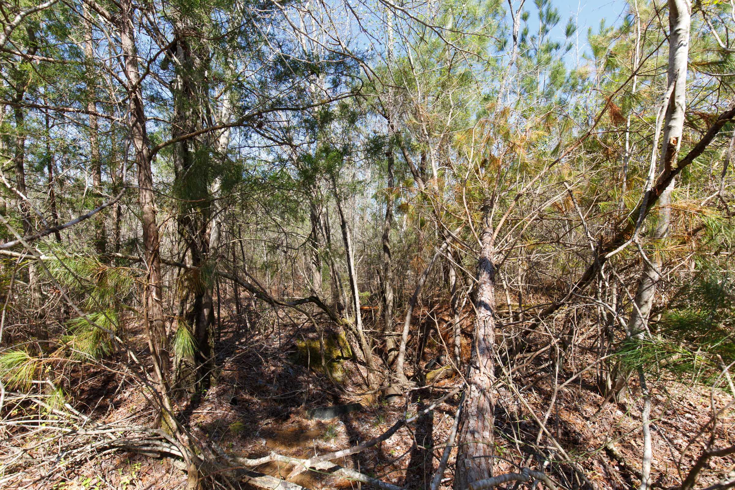 Tract 9 at Southern Hills in Tishomingo County, Mississippi