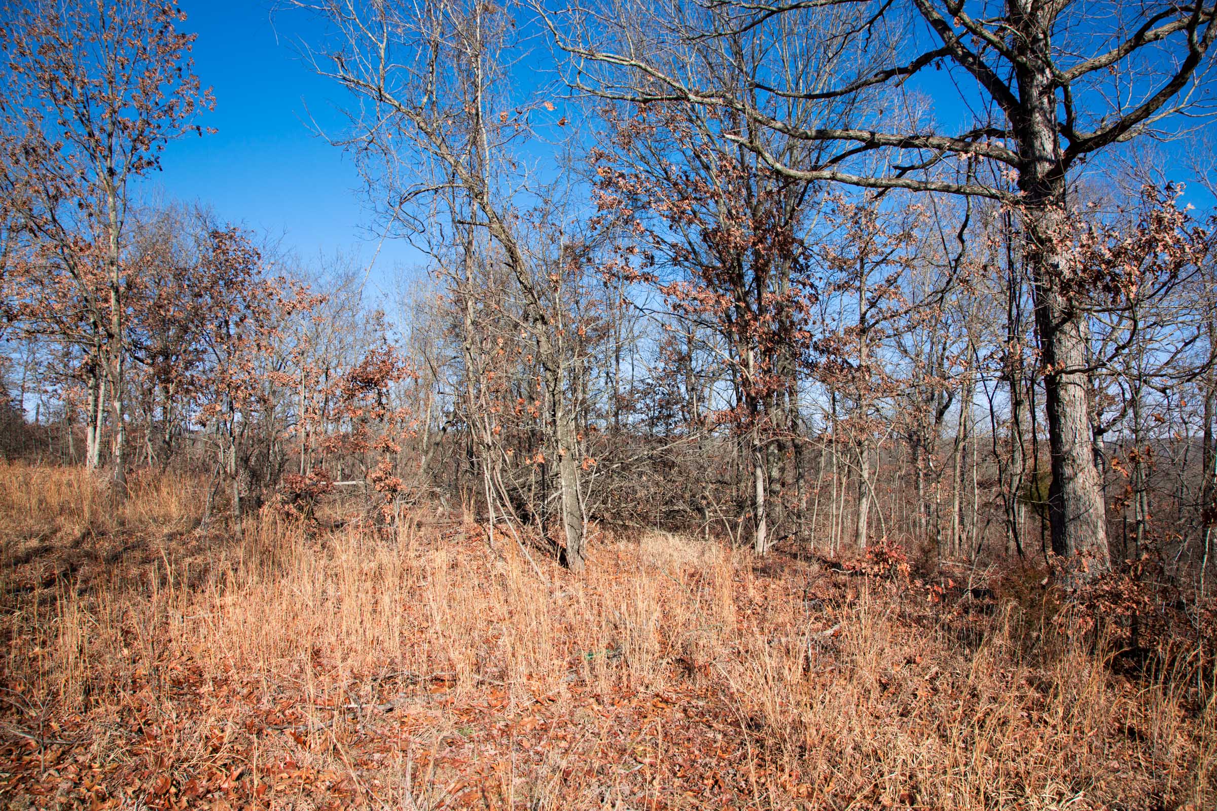 Tract 1 at Buffalo Hills in Dallas County, Missouri