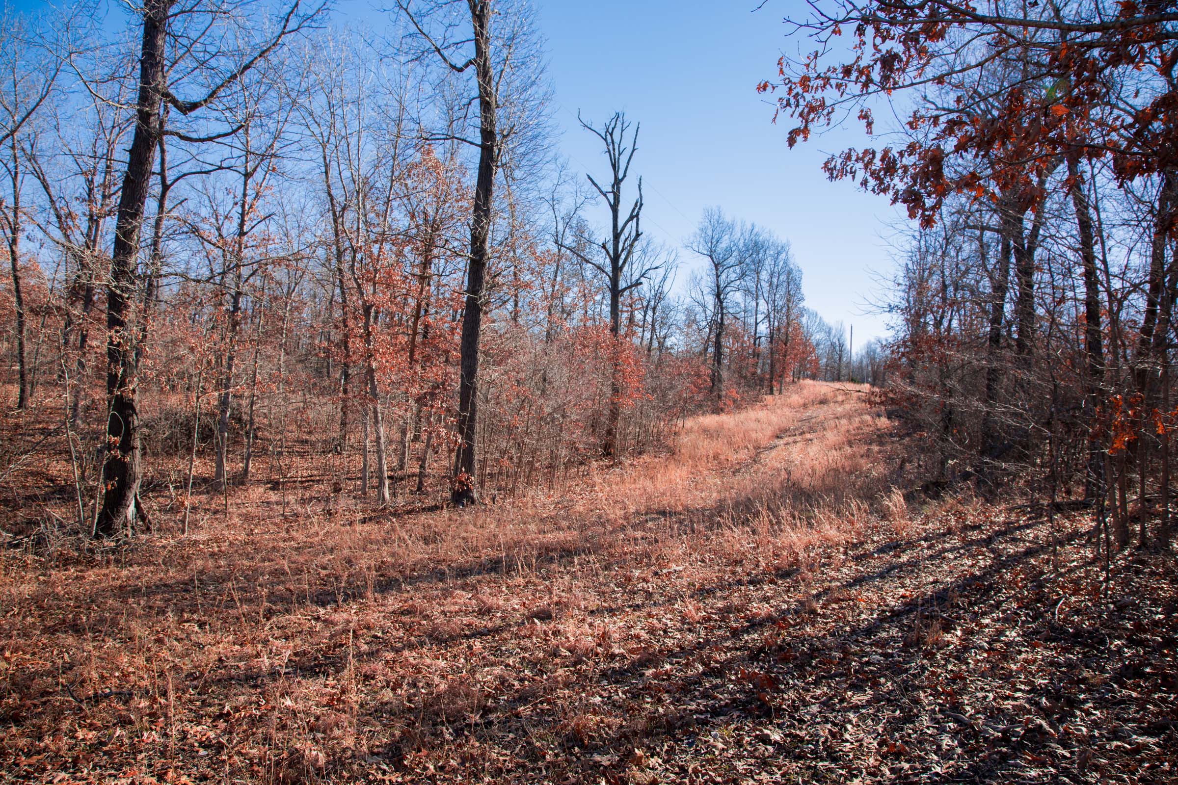 Tract 12 at Buffalo Hills in Dallas County, Missouri