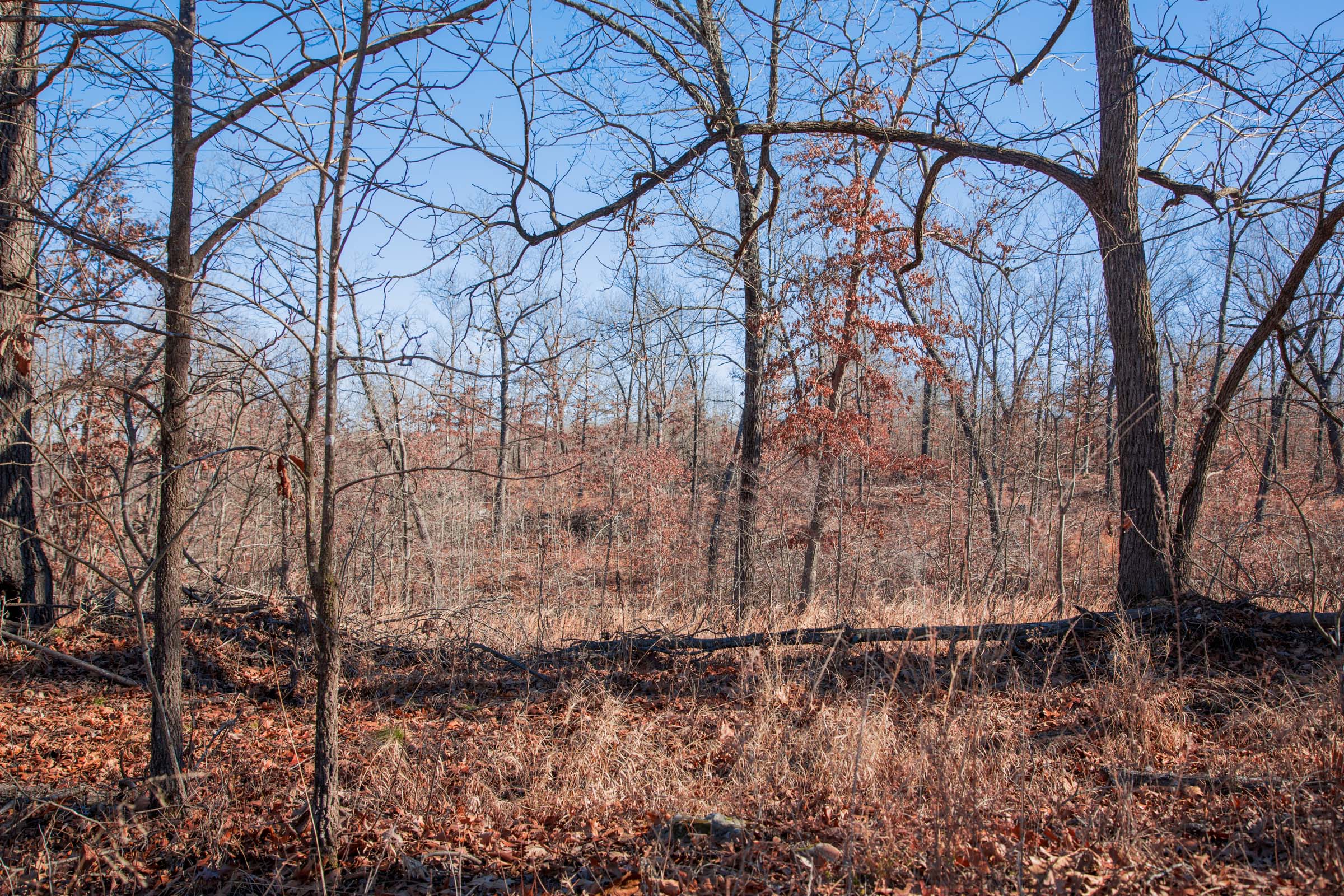 Tract 13 at Buffalo Hills in Dallas County, Missouri