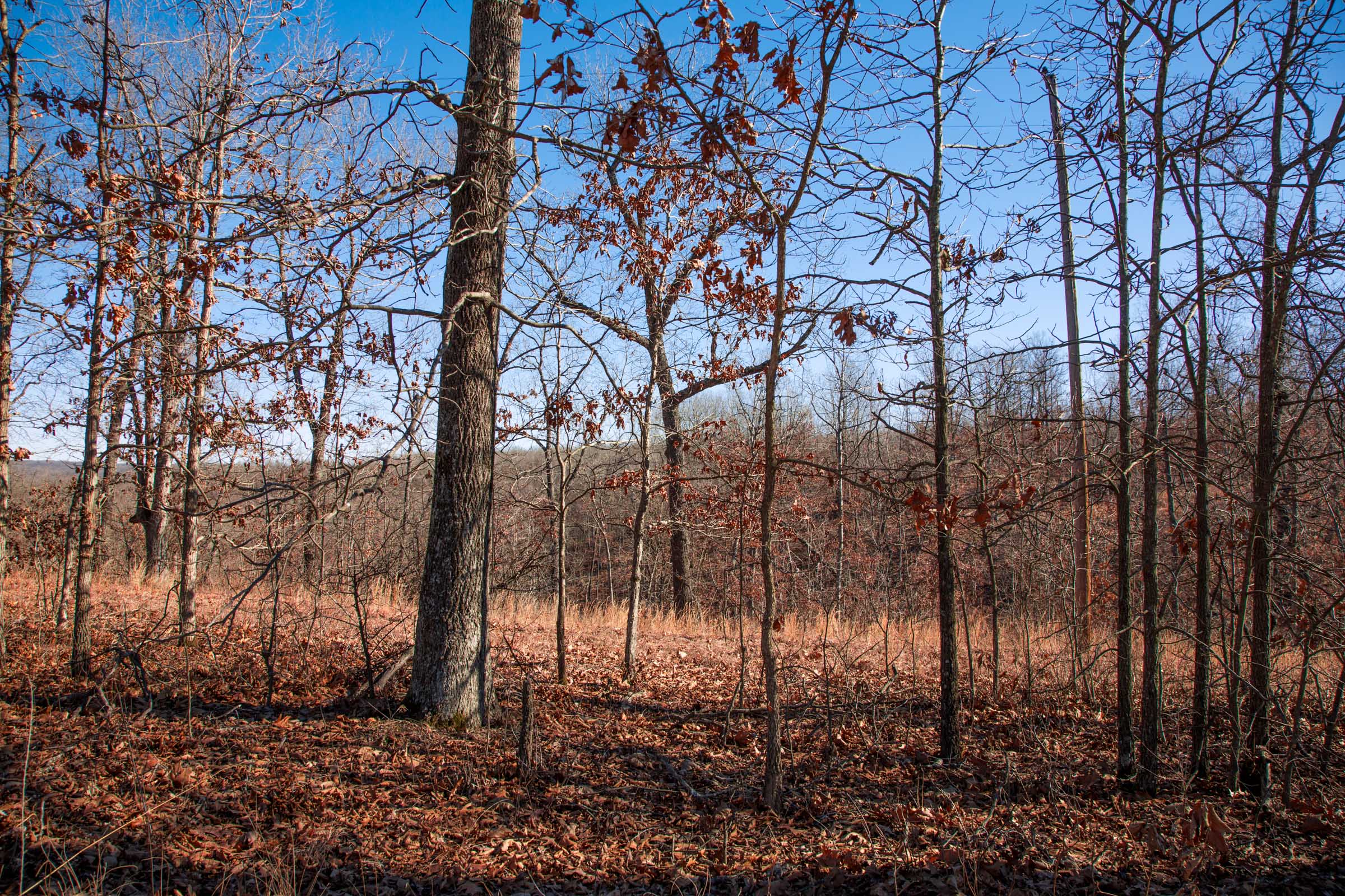 Tract 14 at Buffalo Hills in Dallas County, Missouri