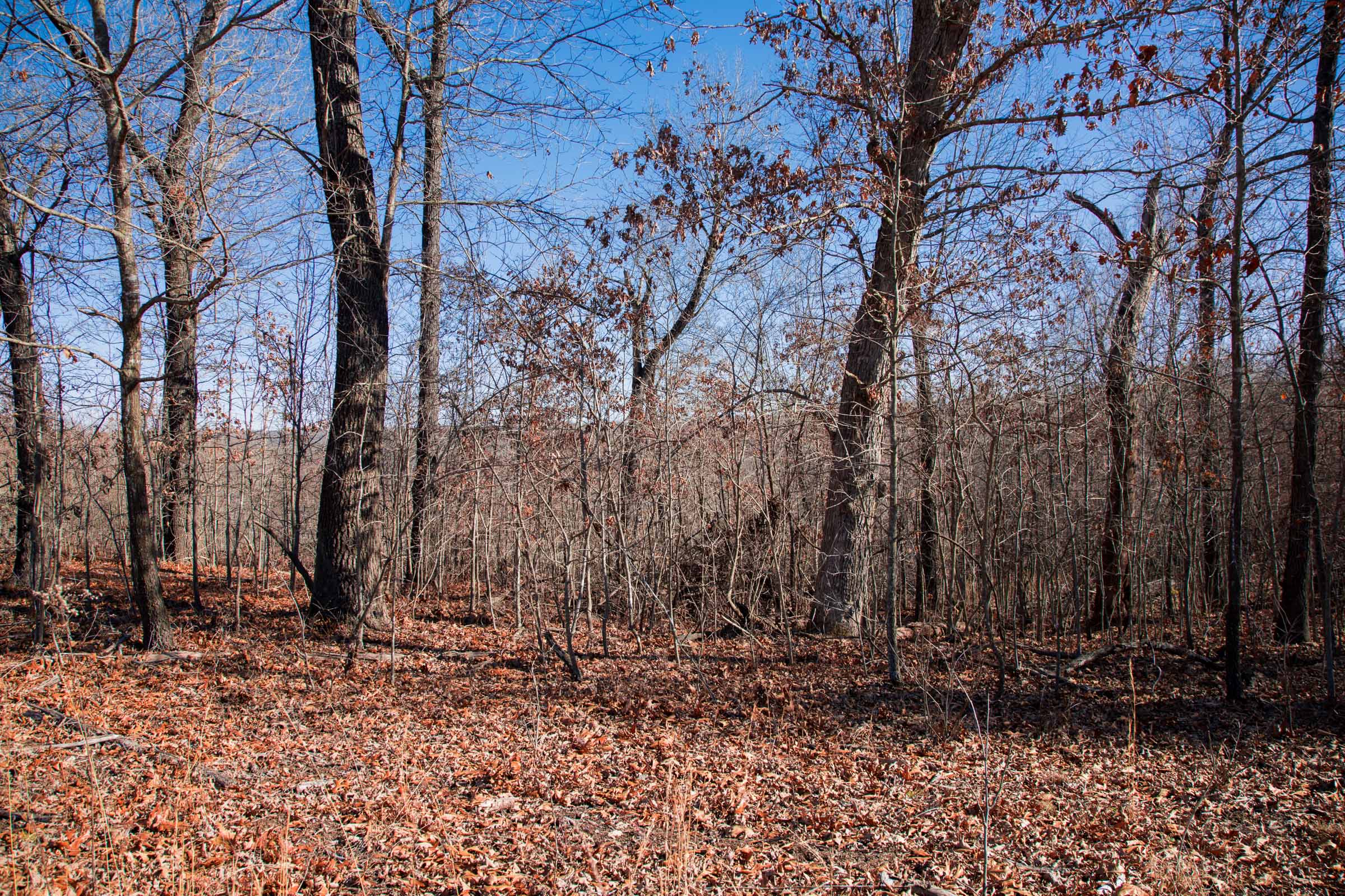 Tract 16 at Buffalo Hills in Dallas County, Missouri